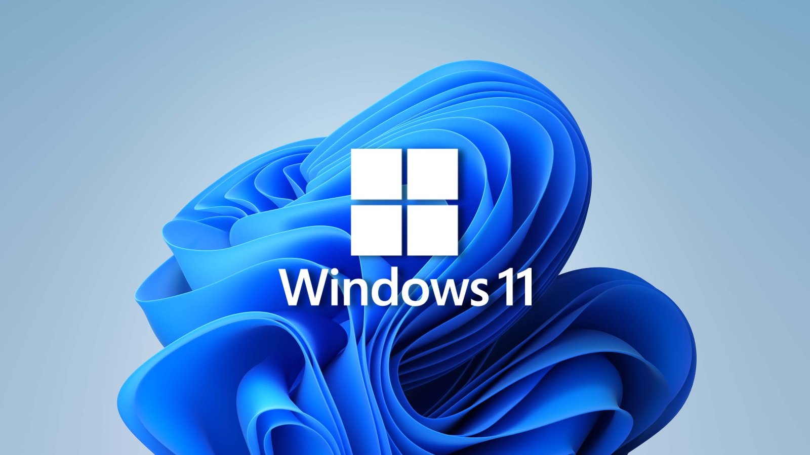 Windows 11