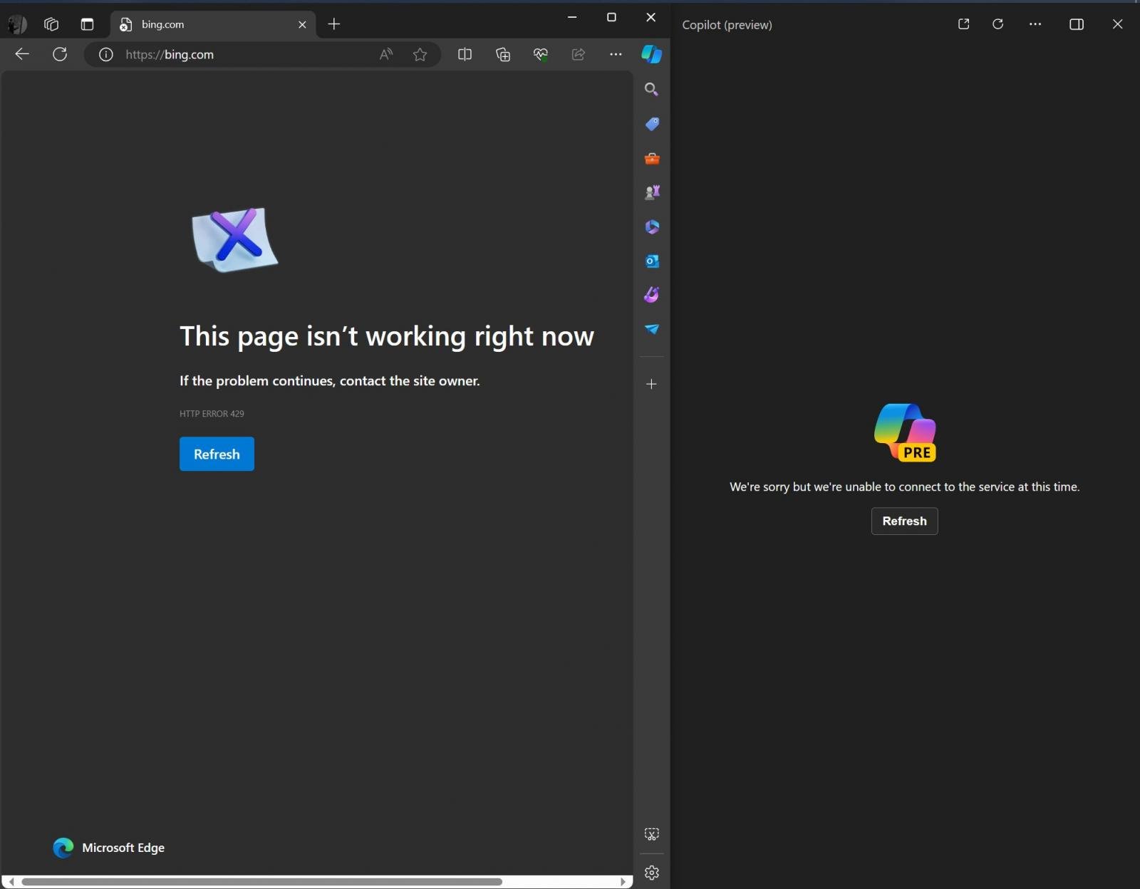Error when using Copilot in Bing