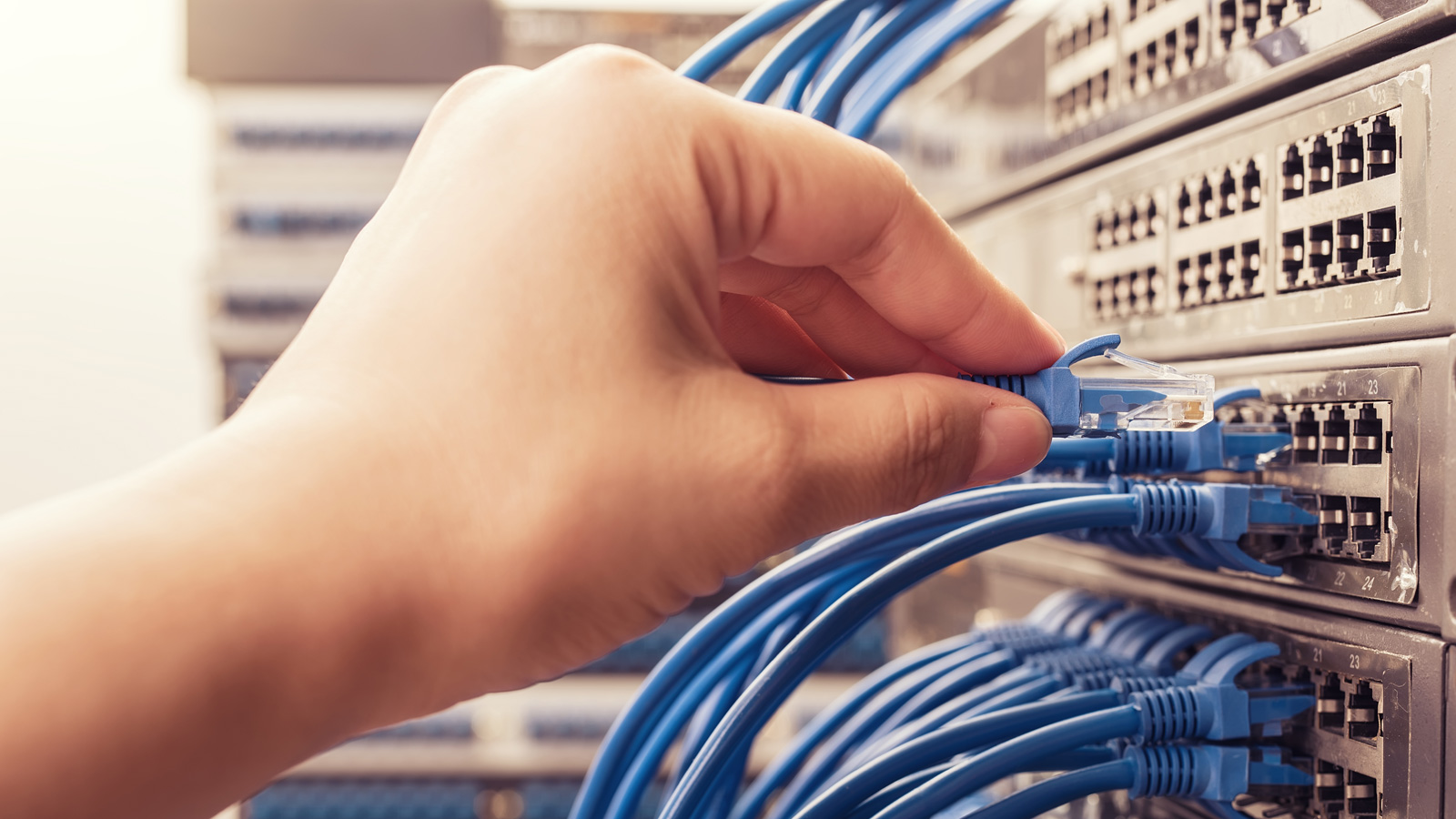 Person plugging a network cable into a switch