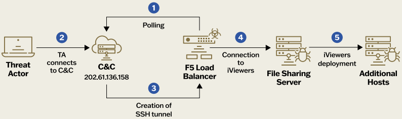 Re-infection chain